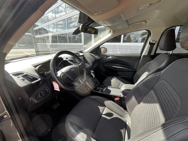 Foto 8 van Ford Kuga 1.5 EcoBoost 175 PK Vignale AUTOMAAT