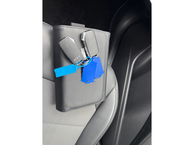 Foto 9 van Kia Niro EV DynamicLine 64.8 kWh